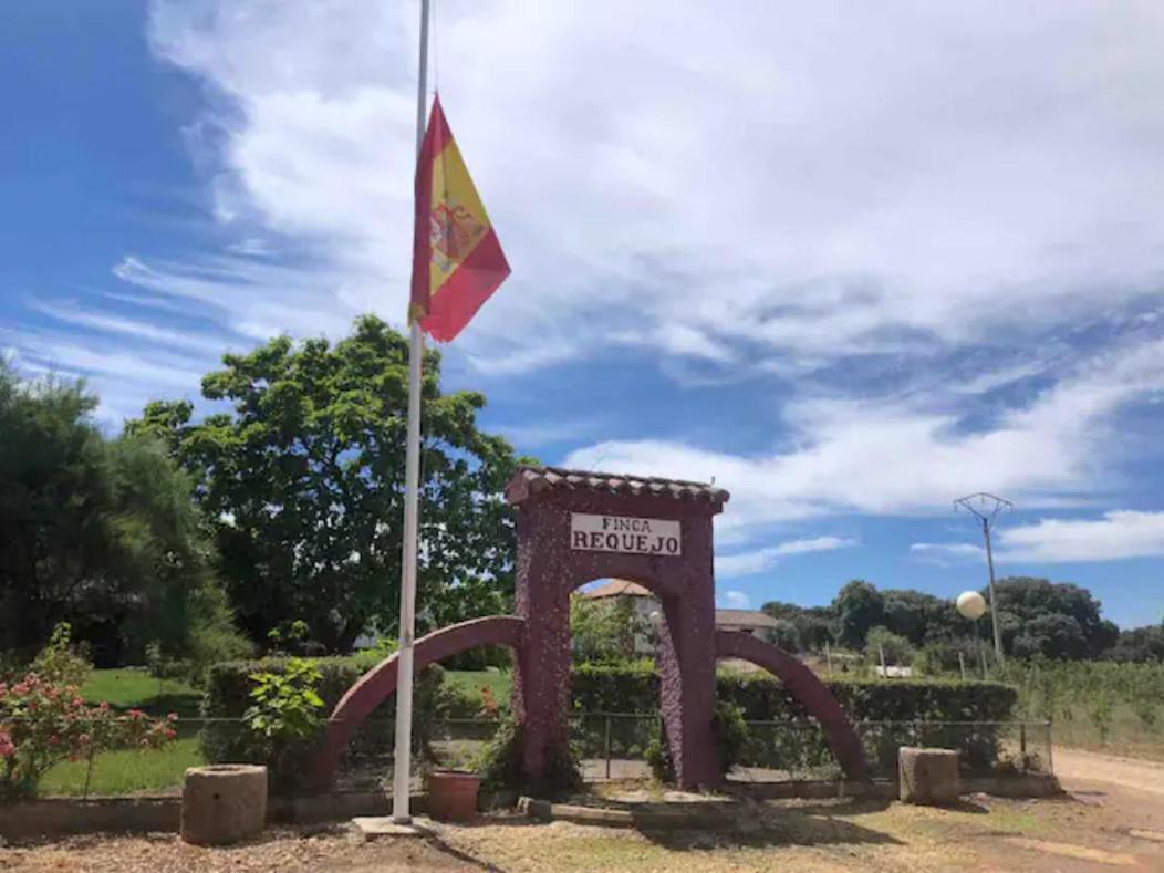Casa Rural Finca Requejo Cerca De Benavente Tr 49426 Manganeses de la Polvorosa Zewnętrze zdjęcie