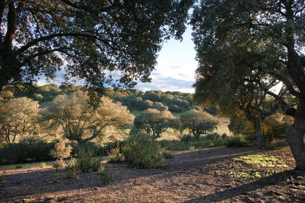 Casa Rural Finca Requejo Cerca De Benavente Tr 49426 Manganeses de la Polvorosa Zewnętrze zdjęcie