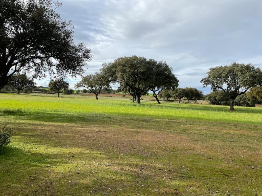 Casa Rural Finca Requejo Cerca De Benavente Tr 49426 Manganeses de la Polvorosa Zewnętrze zdjęcie