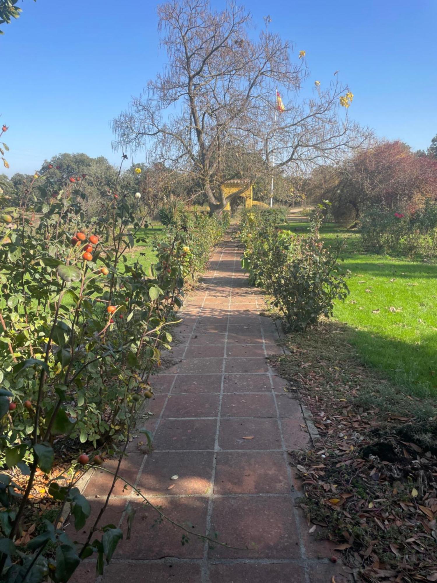 Casa Rural Finca Requejo Cerca De Benavente Tr 49426 Manganeses de la Polvorosa Zewnętrze zdjęcie